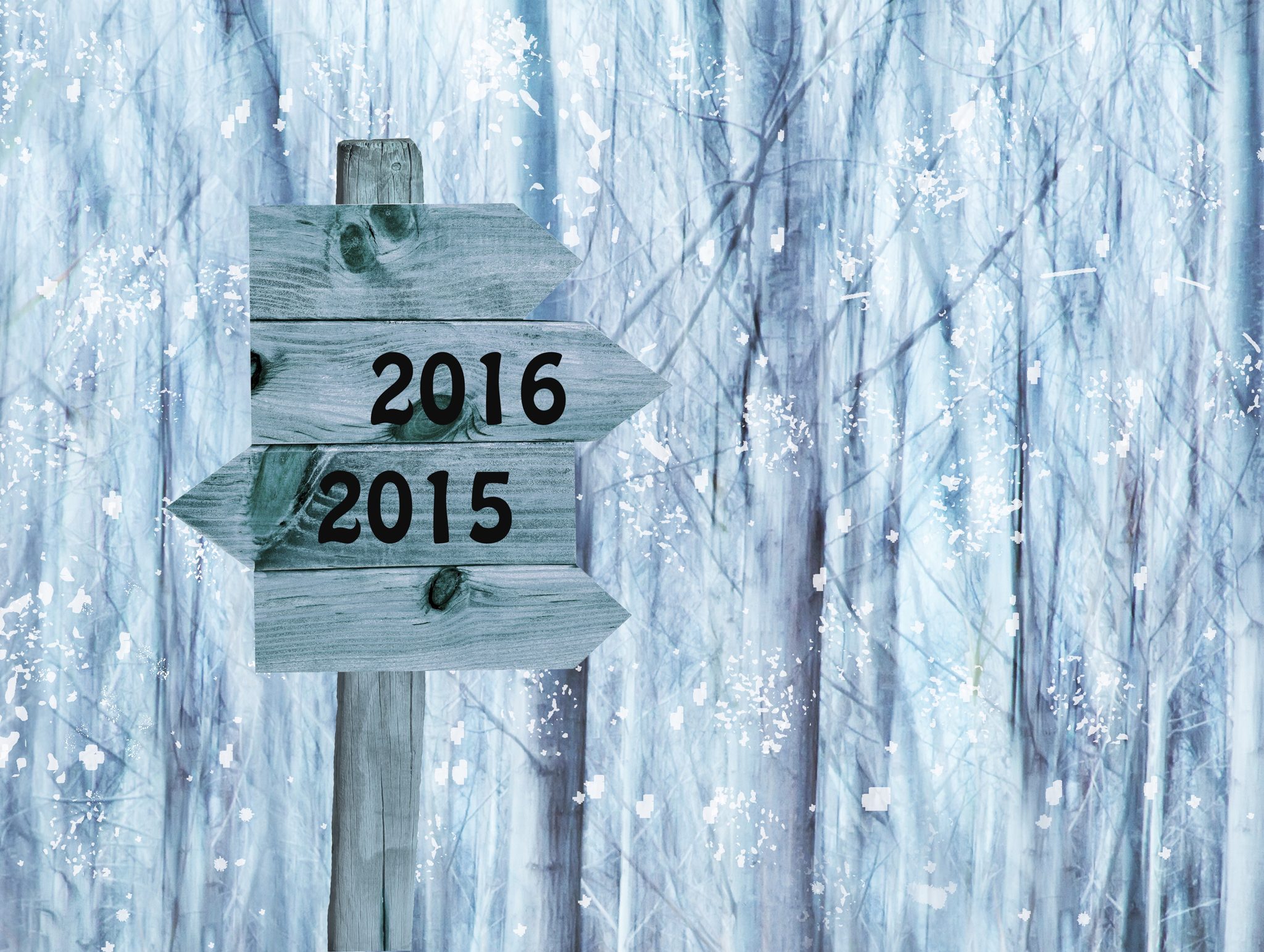 Message from the President: The End of the Year