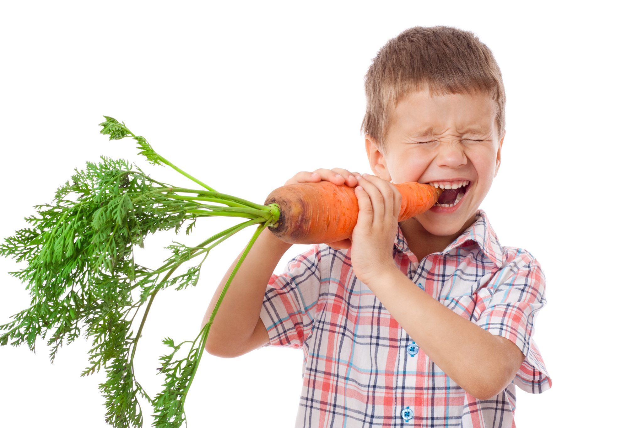 Calcium and Dental Health