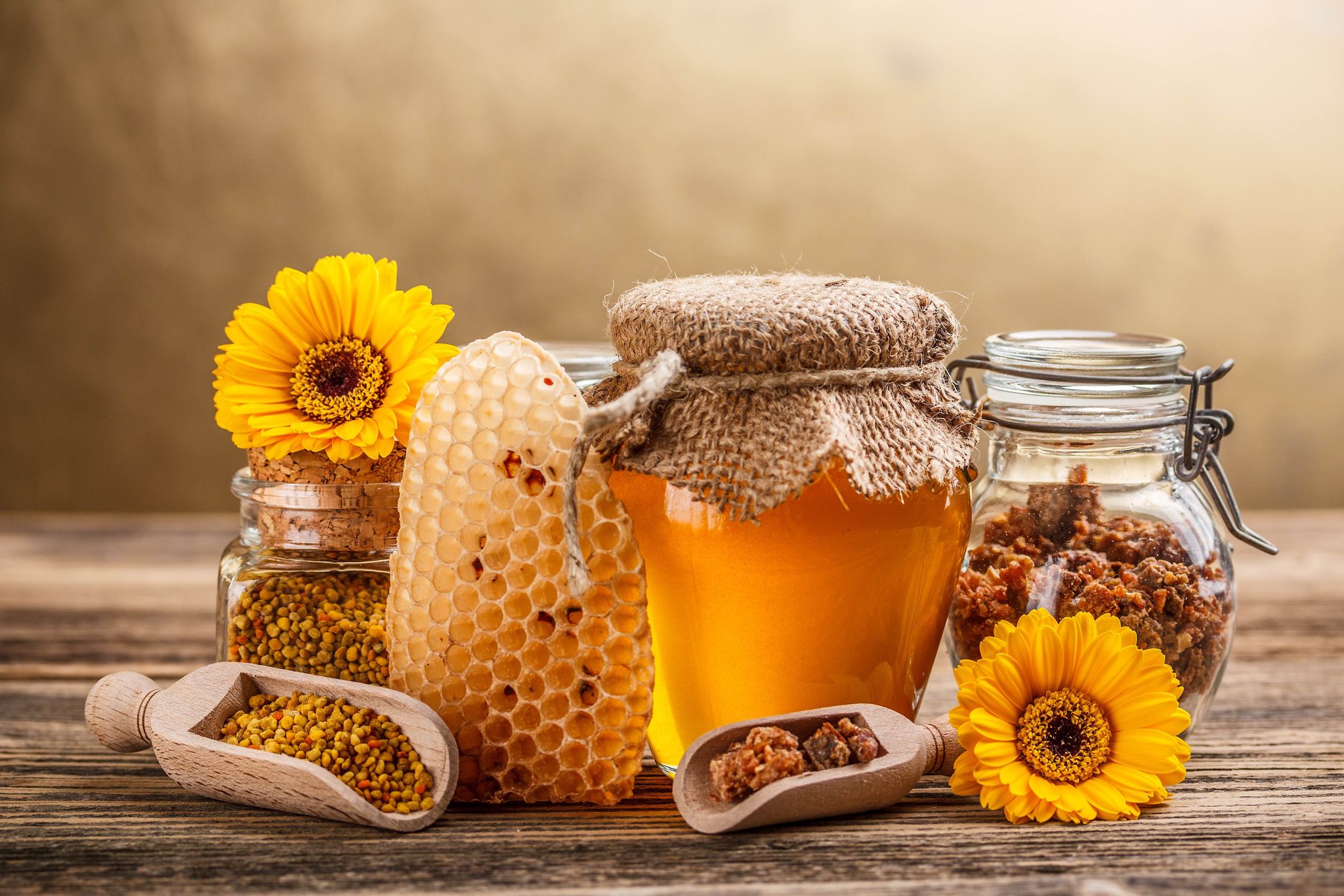 Flu Season: Fighting the Common Cold Naturally