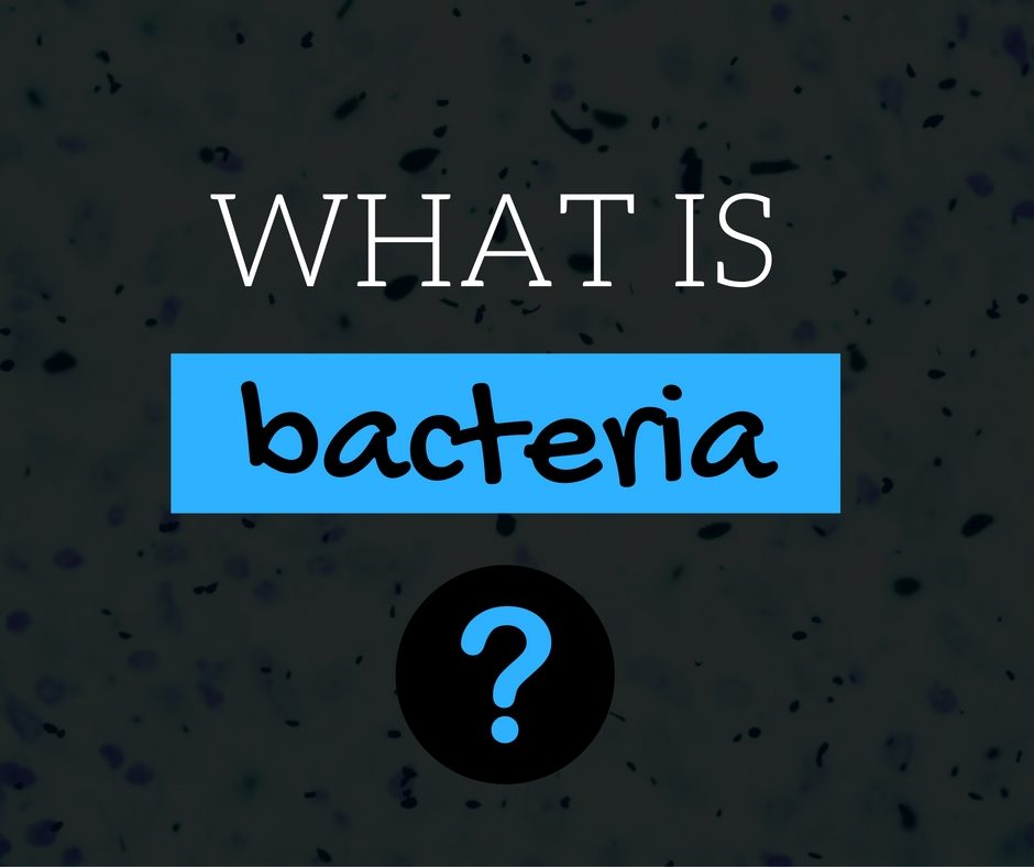 What's a Germ? Part 2