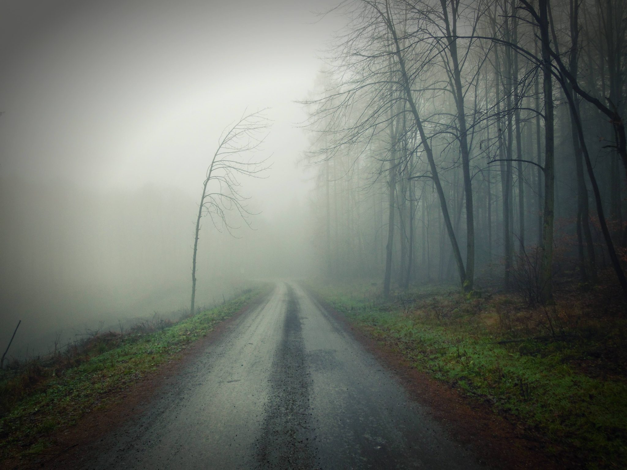 Devotional: Behind the Fog