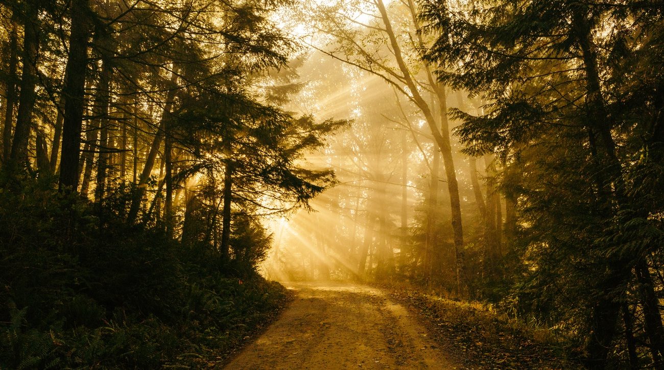 Devotional: Even Now I Will Keep My Eyes Upon Jesus