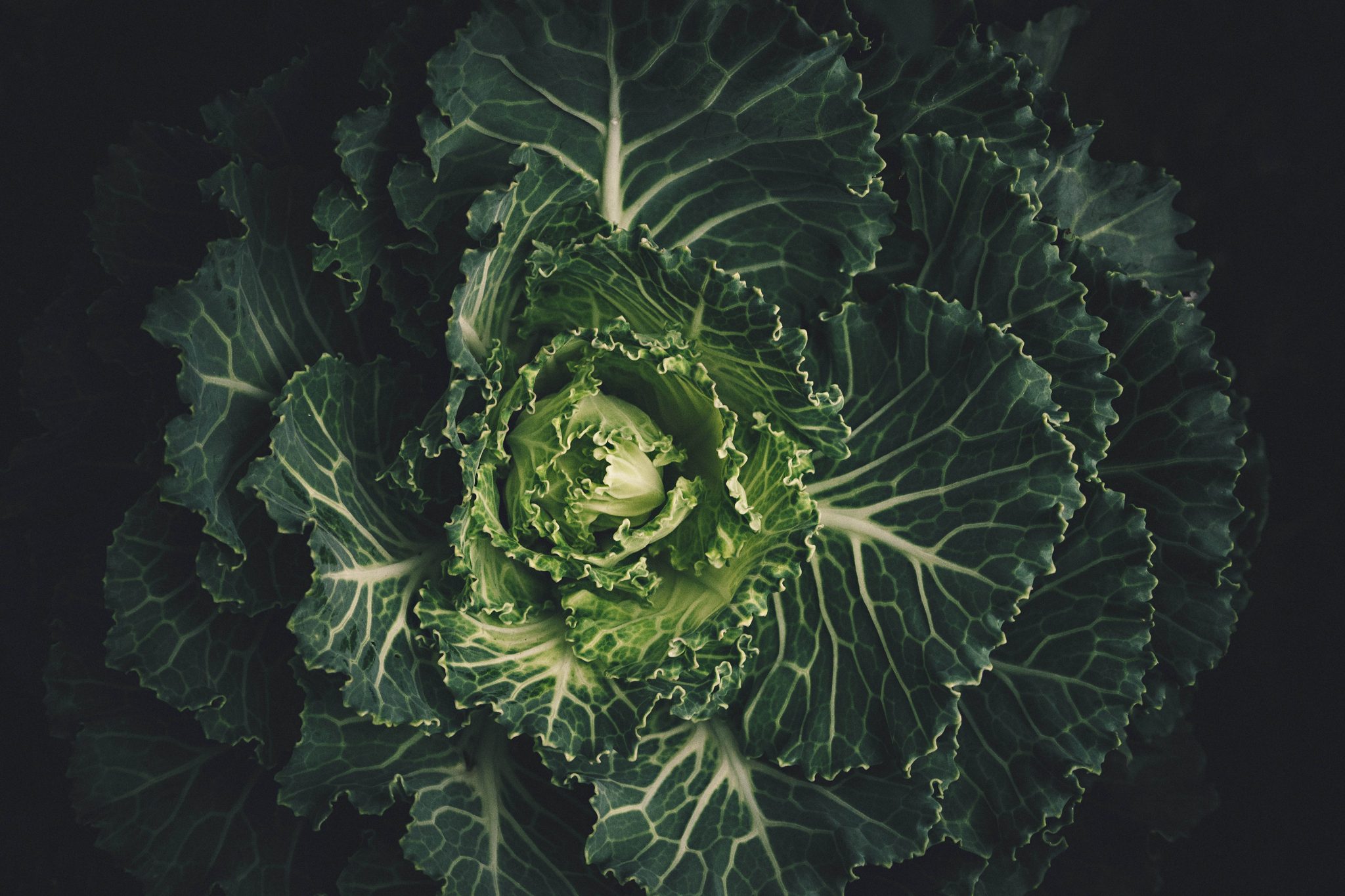 Juicing Your Way to More Energy: Green Juice