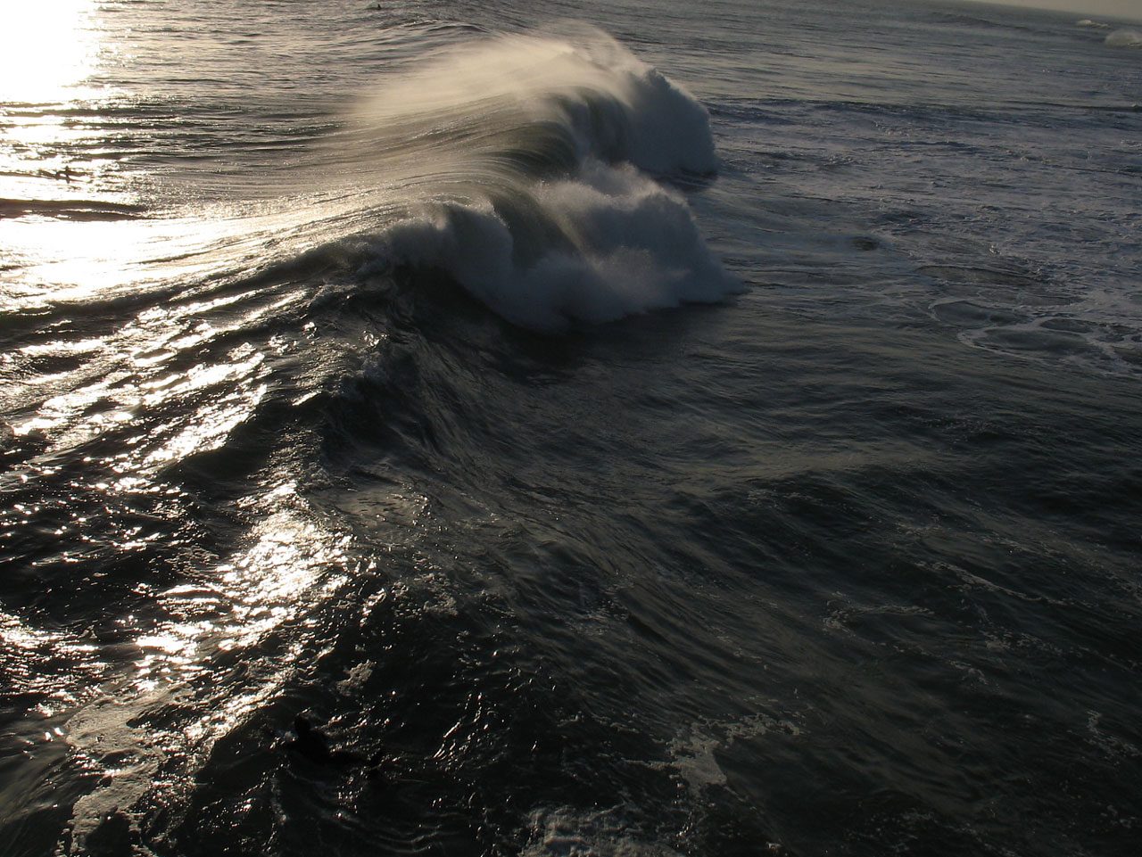 Devotional: He Calms the Sea
