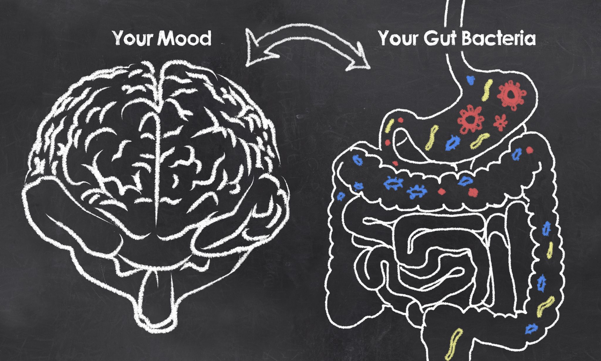 The Gut and the Brain
