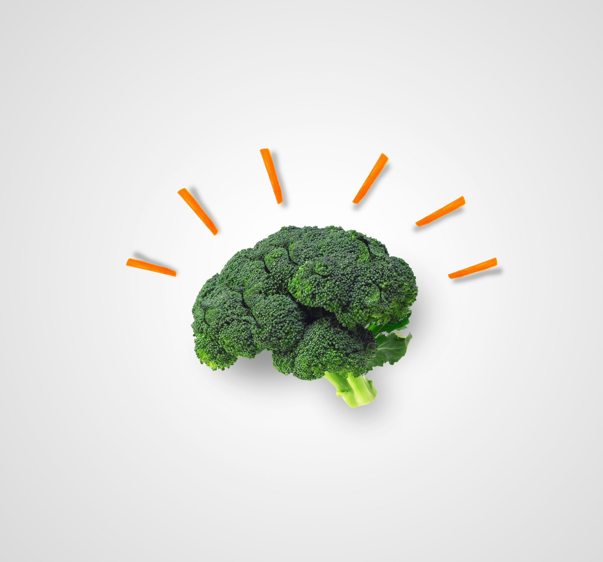 Food for Thought: Feeding the Brain