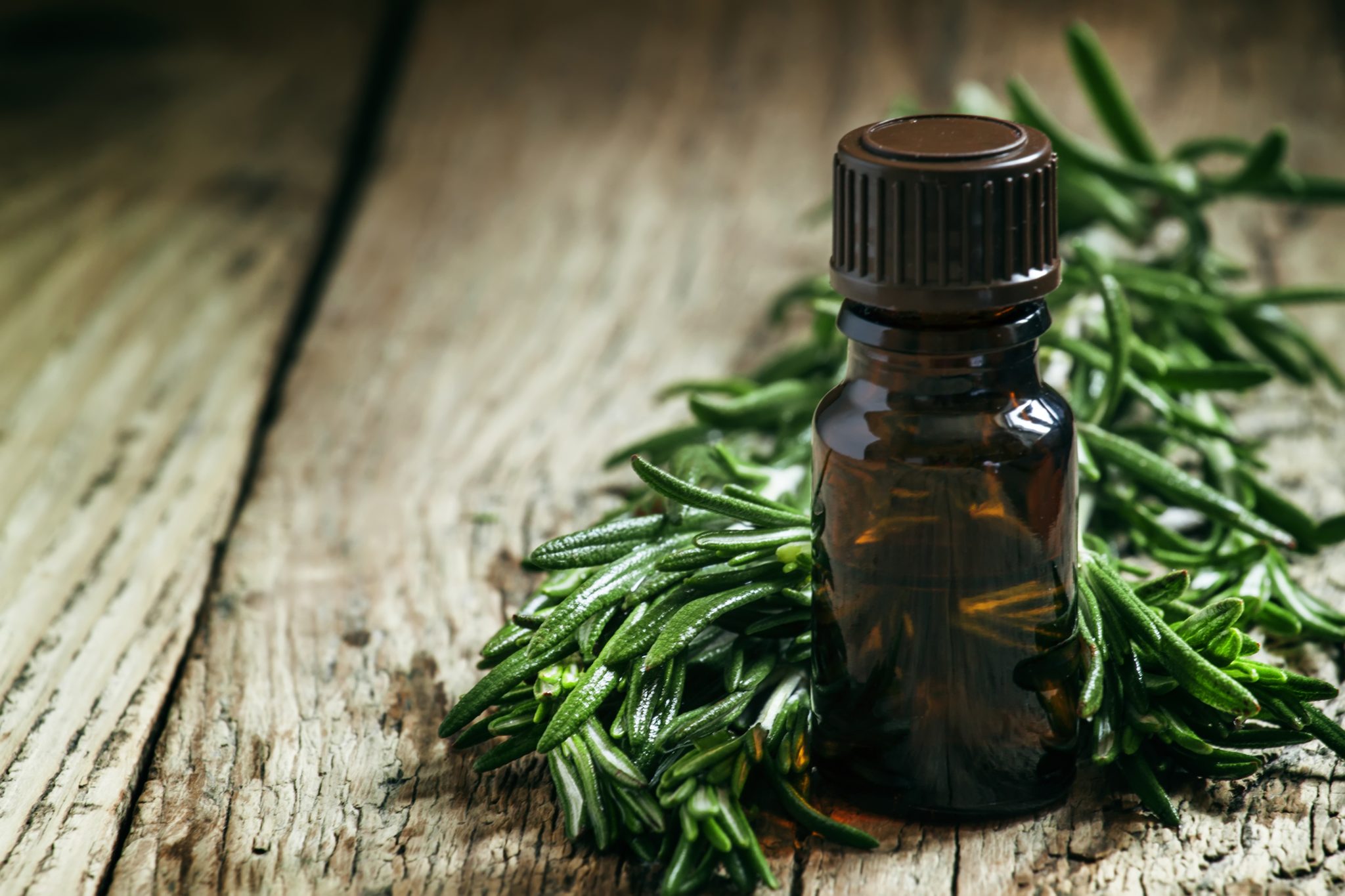Benefits, Treatments, and Uses of Rosemary