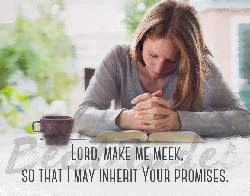 The Beatitudes - The Meek