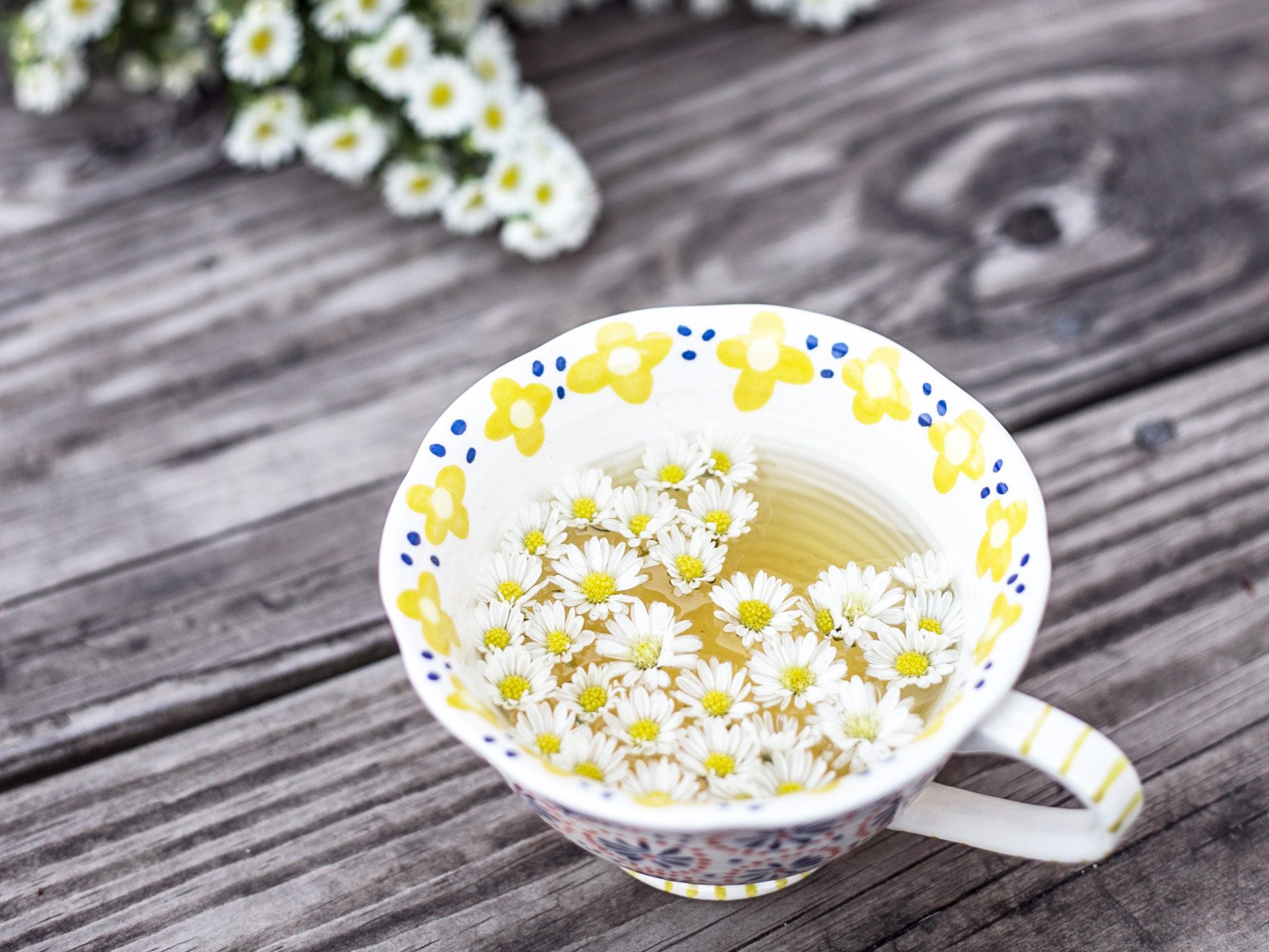 Herbal Remedies and the Common Cold