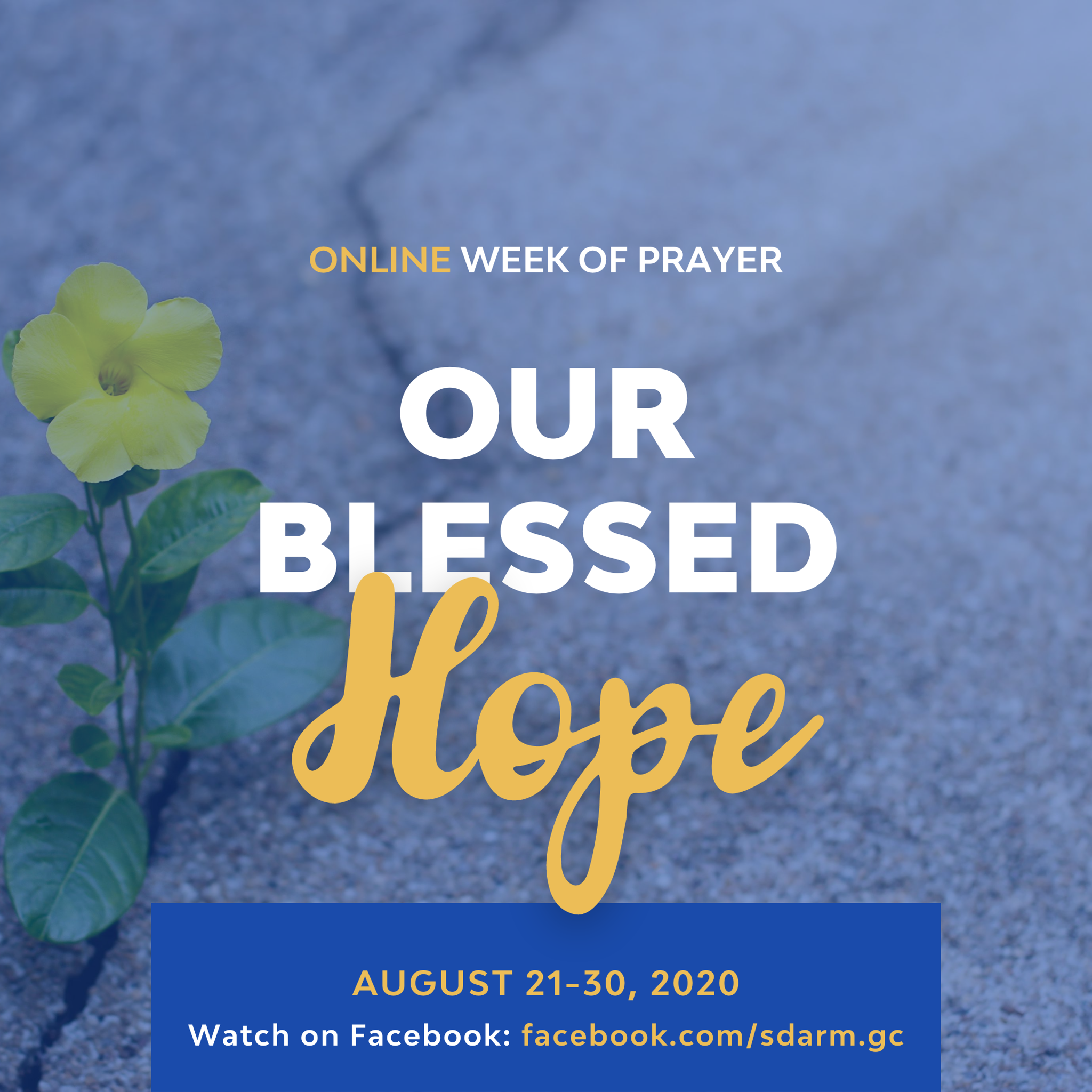 International Week of Prayer – Our Blessed Hope