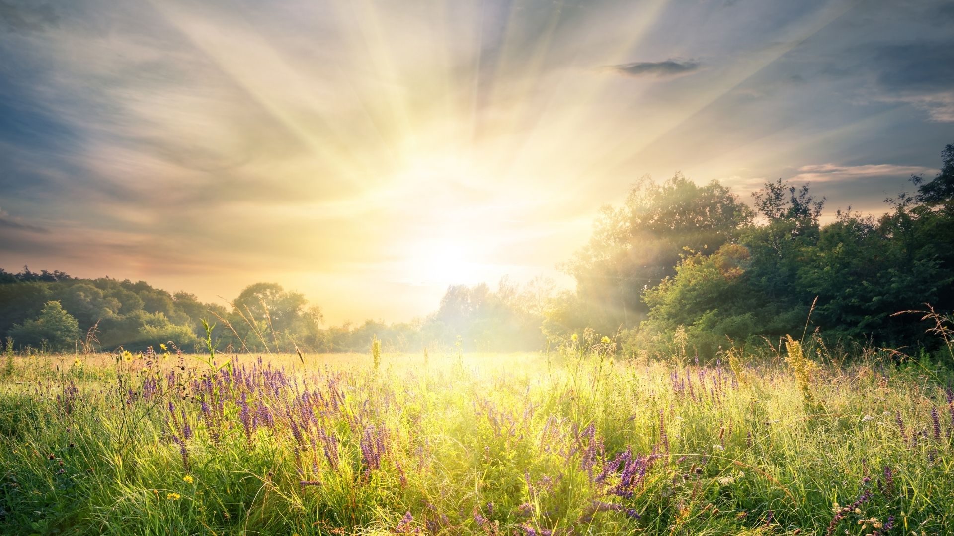 The Sun of Righteousness: A New Year’s Message from the President