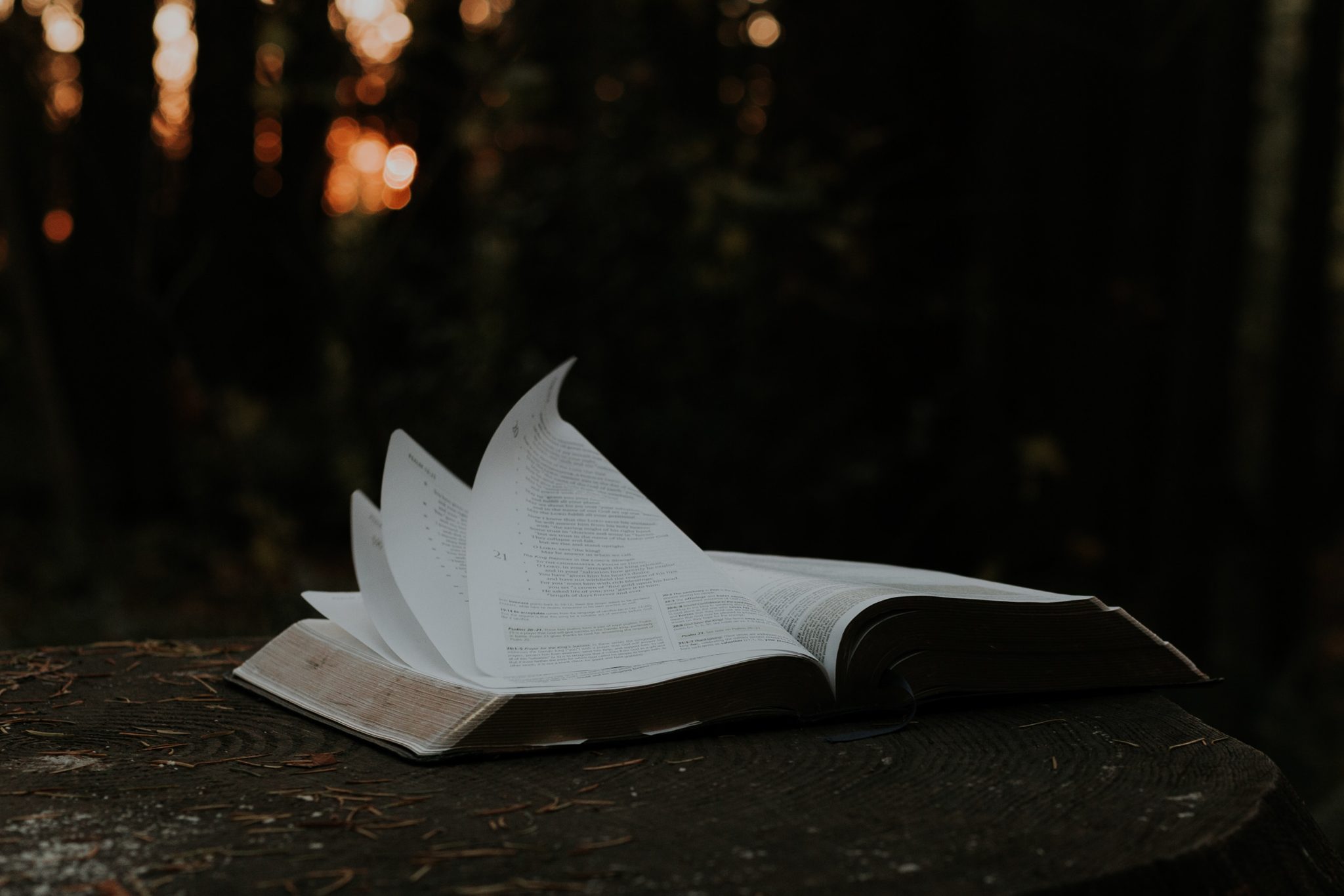 A Renewed Relationship with God