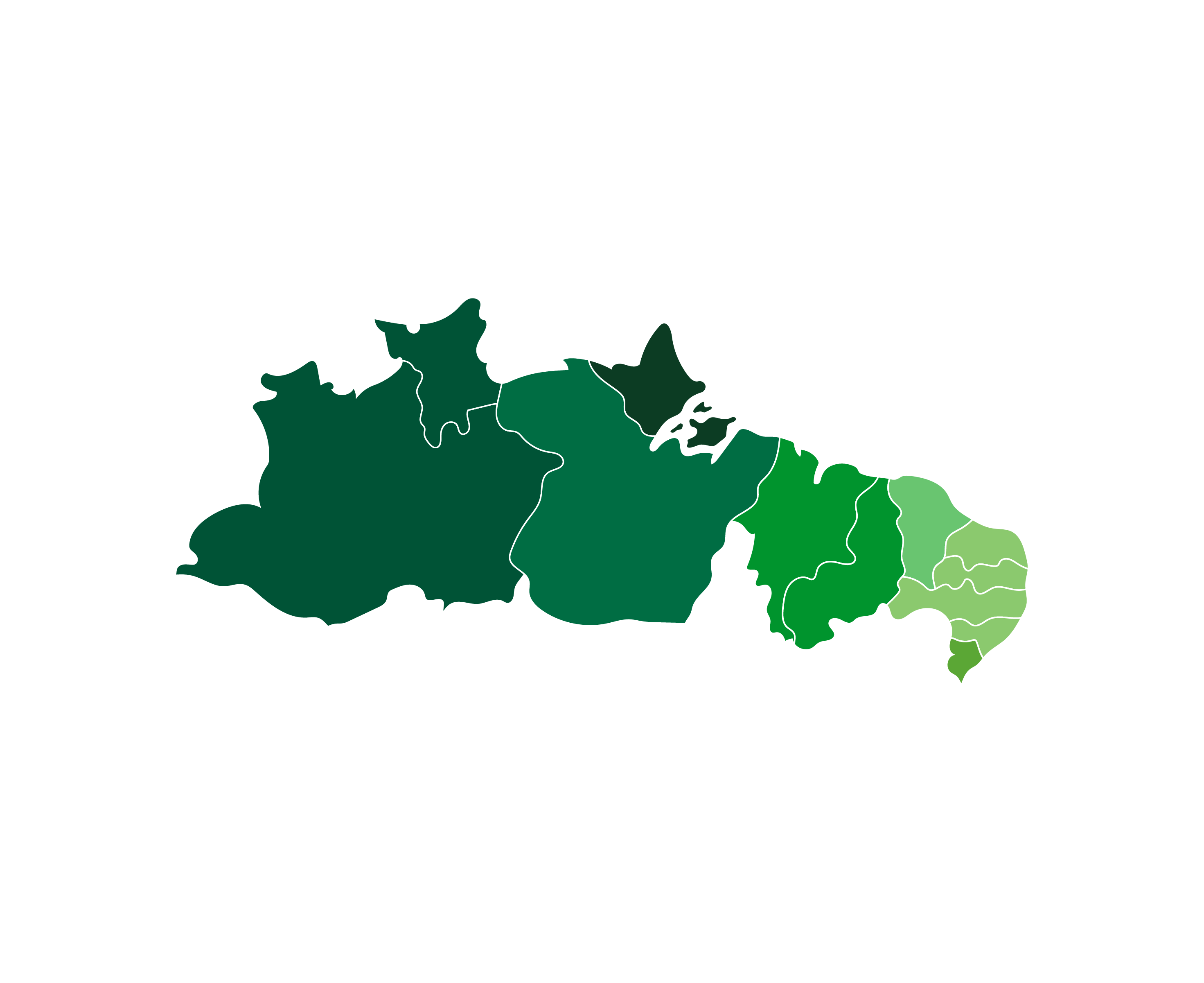 União Norte Nordeste - Mapa Colorido